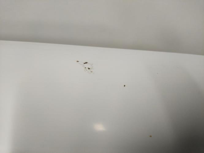 Photo de la pièce