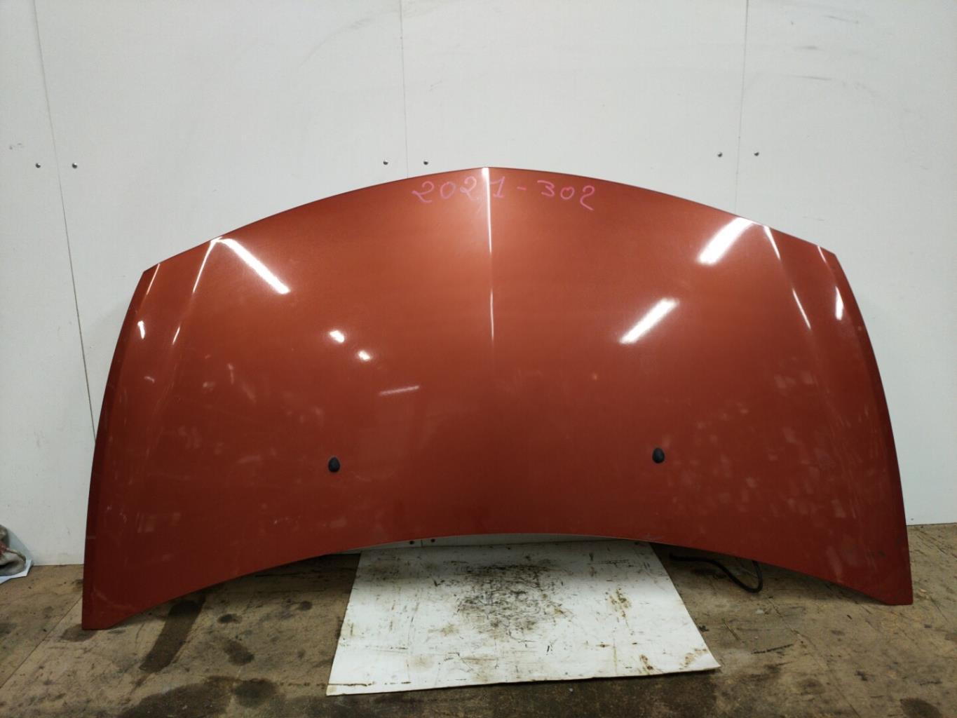 Capot RENAULT CLIO 3 PHASE 1 Diesel - 1
