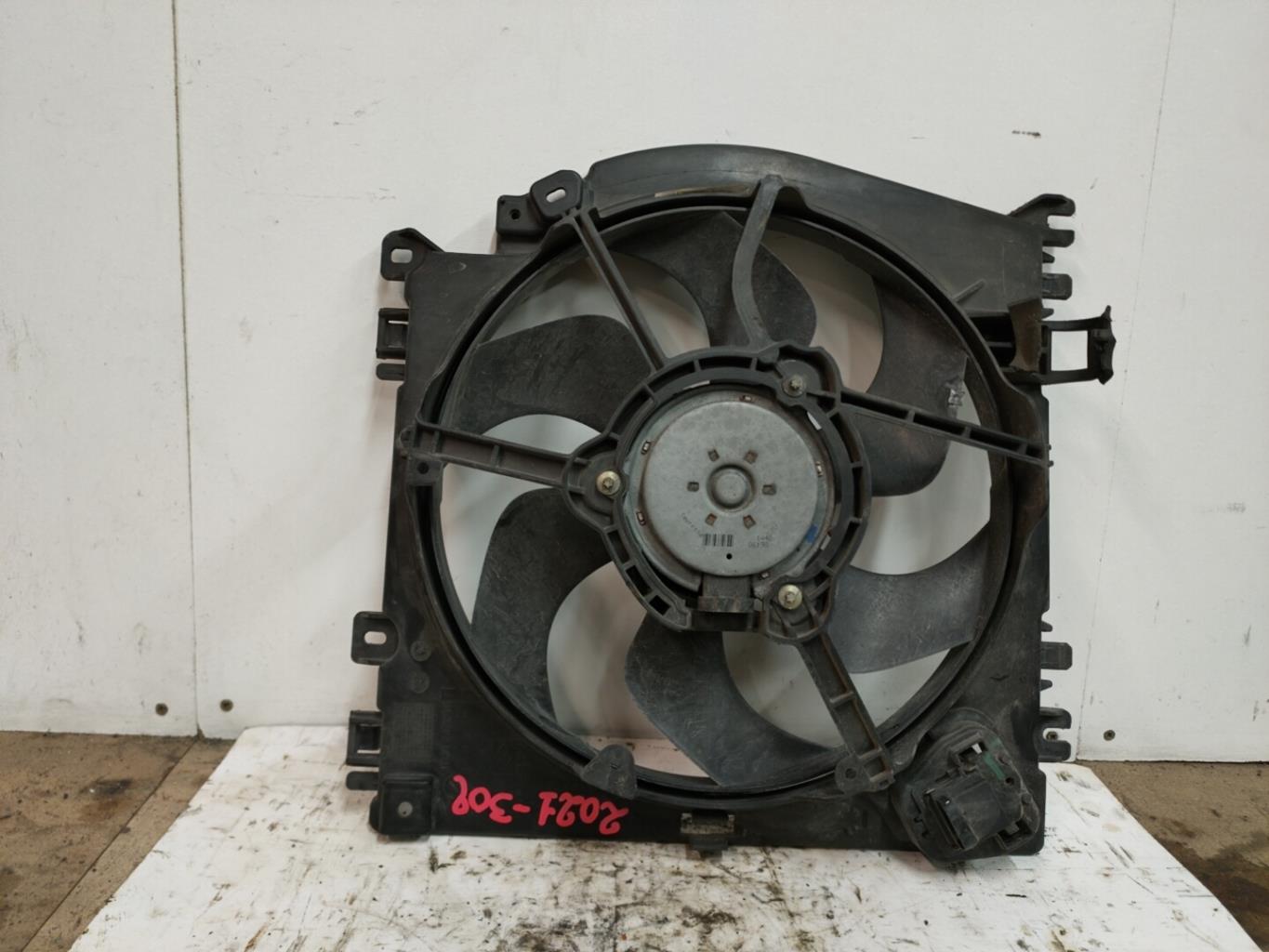 Ventilateur eau RENAULT CLIO 3 PHASE 1 Diesel - 1
