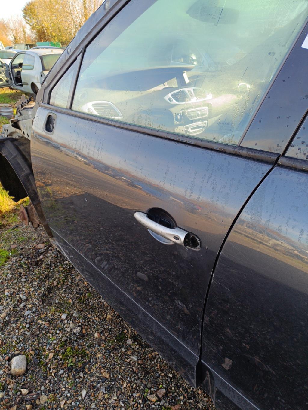 Porte avant gauche RENAULT SCENIC 3 PHASE 1 Diesel - 1