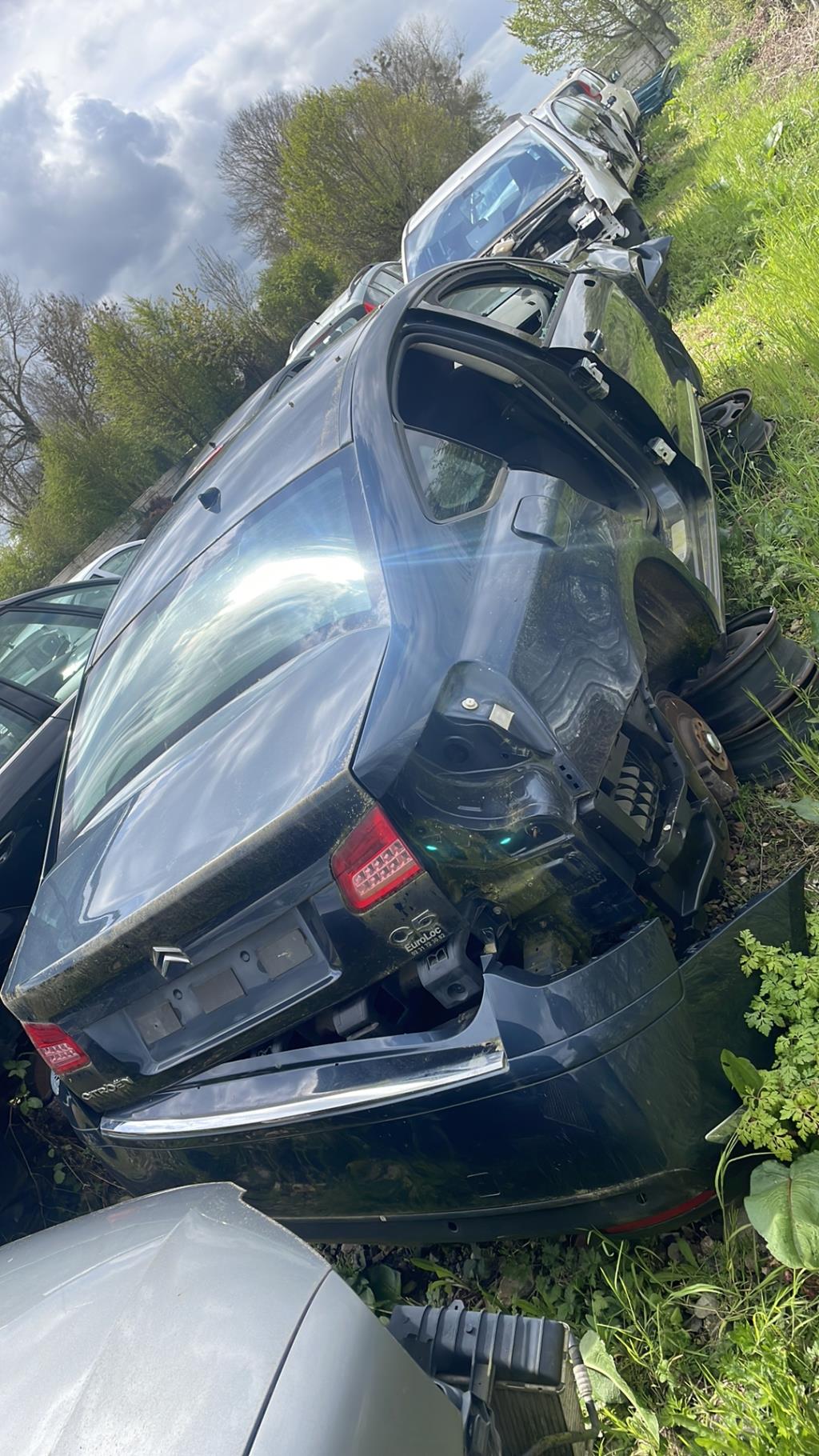 Porte arriere gauche CITROEN C5 2 Diesel - 1