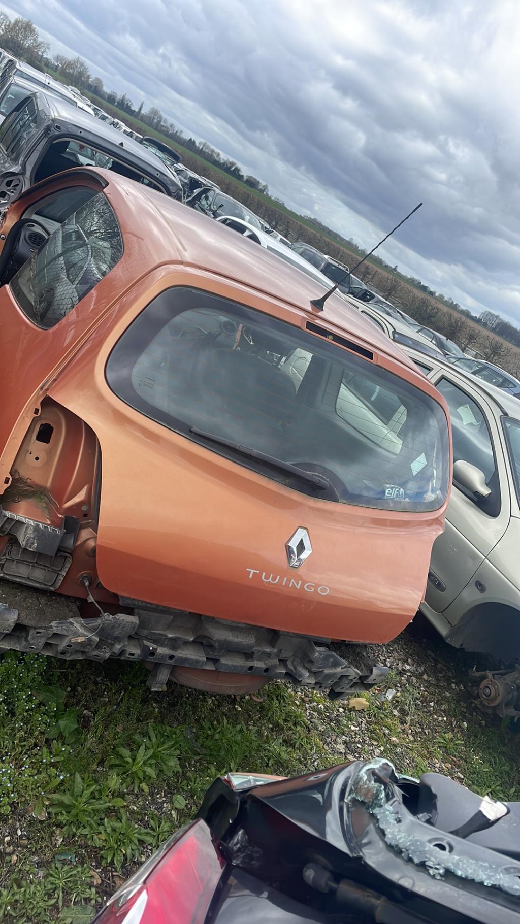 Cardan droit (transmission) RENAULT TWINGO 2 PHASE 1 Diesel - 1
