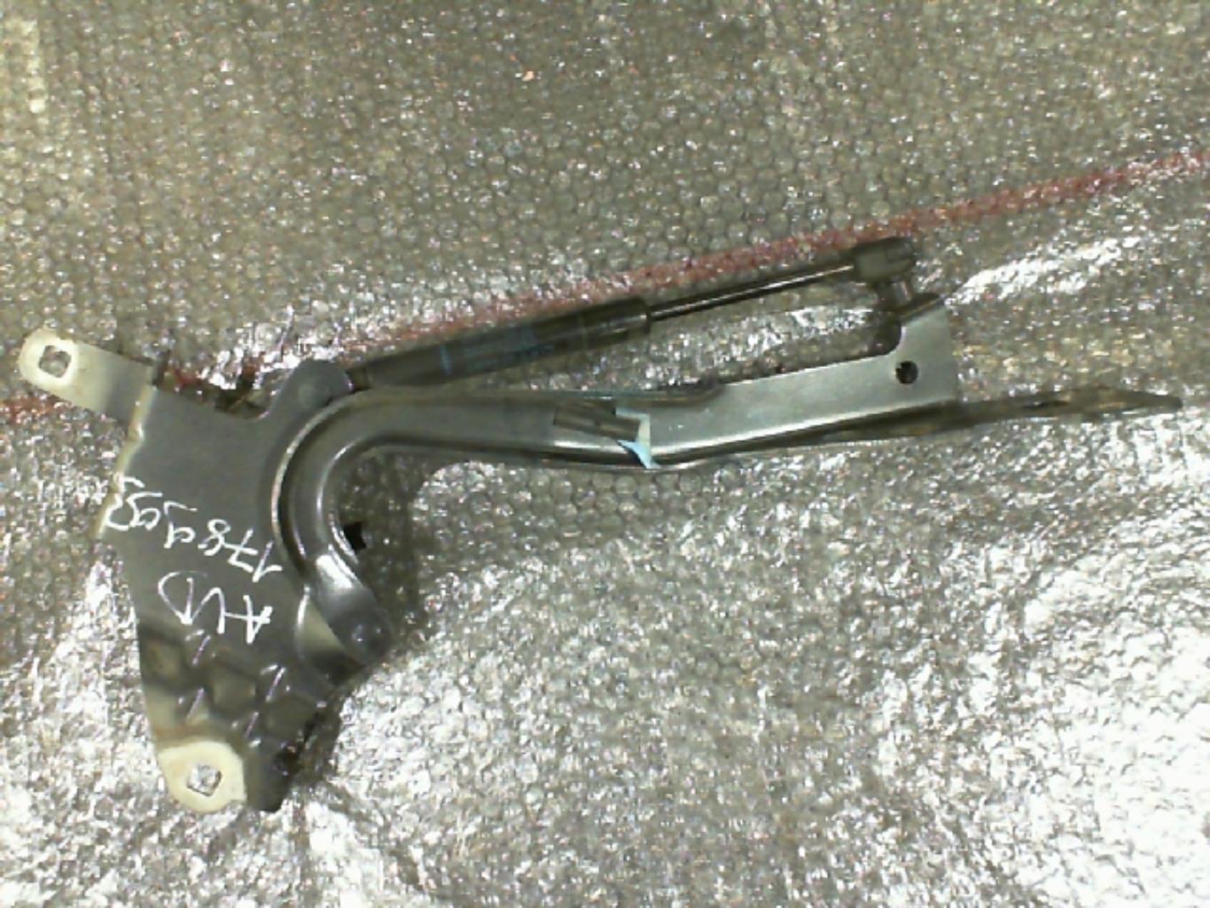 Charniere de capot RENAULT SCENIC 3 PHASE 1 Diesel - 1