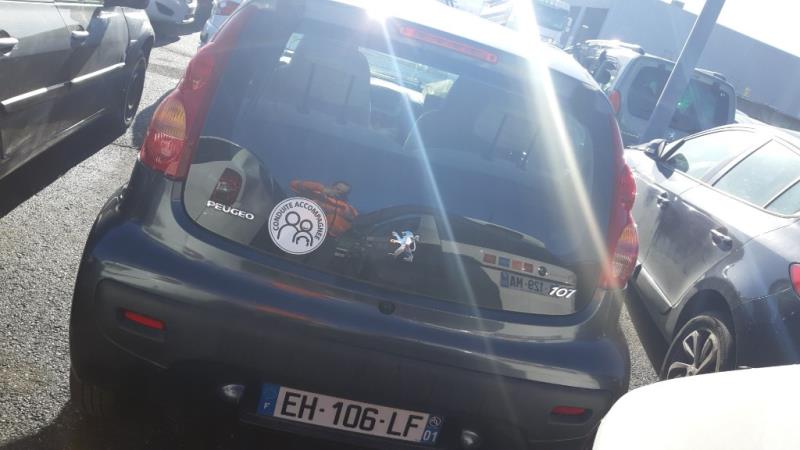 Molla a gas lunotto posteriore PEUGEOT 107 PHASE 1 Gasolina - 1