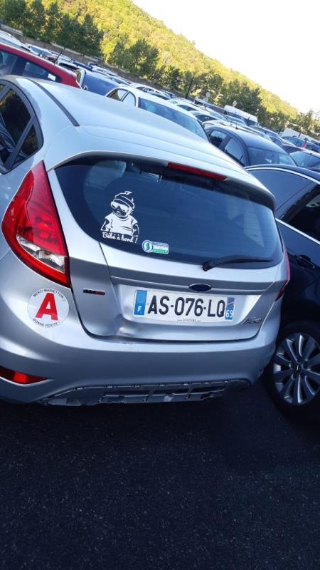 Ammortizzatore posteriore destro FORD FIESTA 6 PHASE 1 Diésel - 1