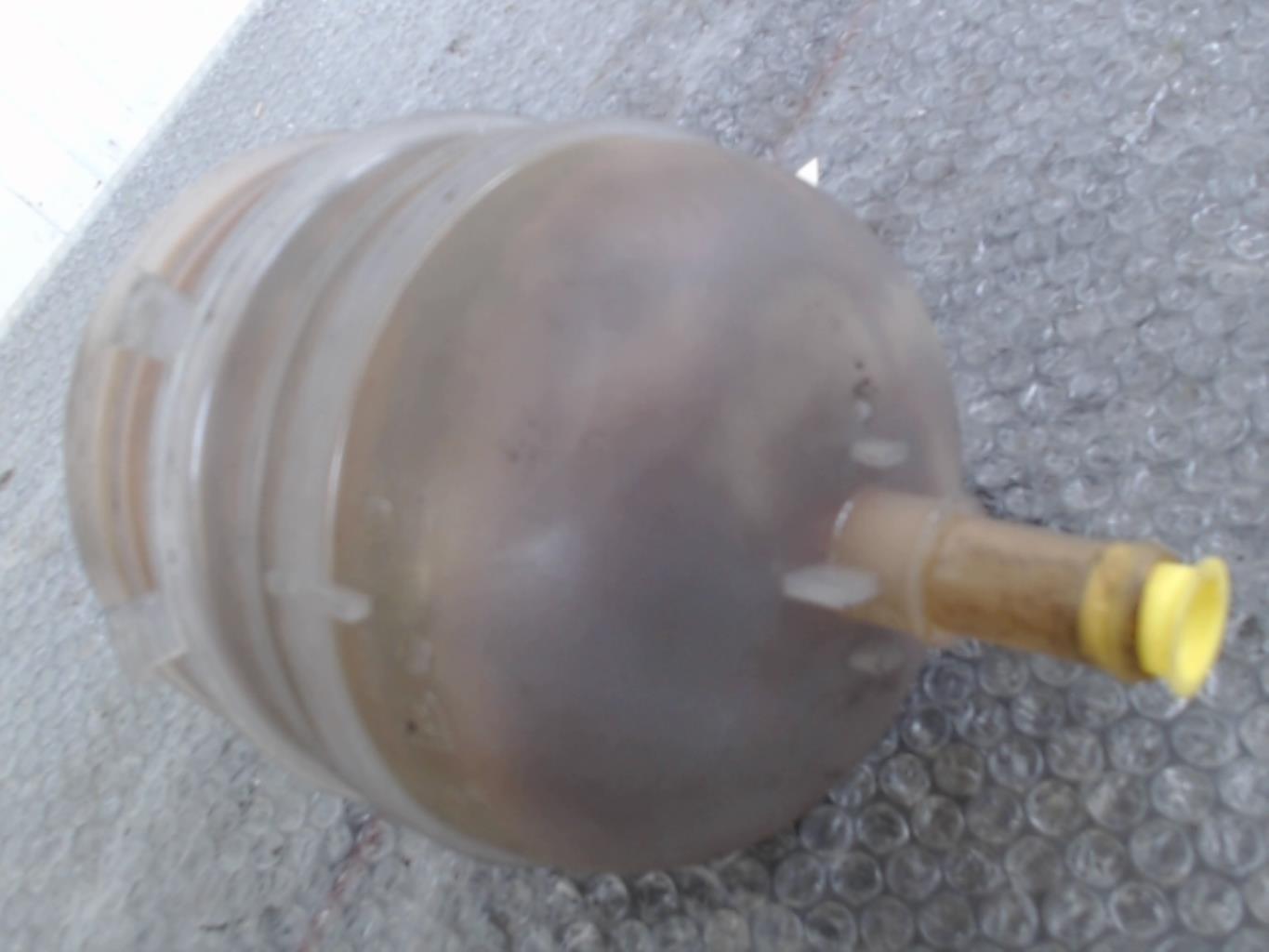 Vaso di espansione PEUGEOT 206+ Gasolina - 1