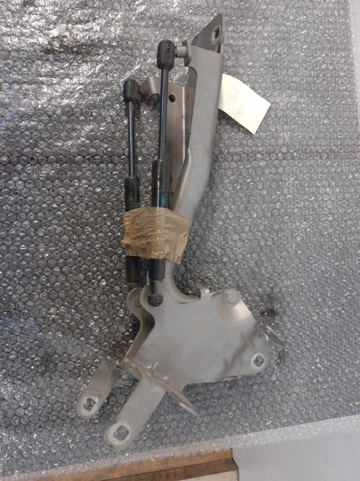 Charniere de capot RENAULT SCENIC 3 PHASE 1 Diesel - 1