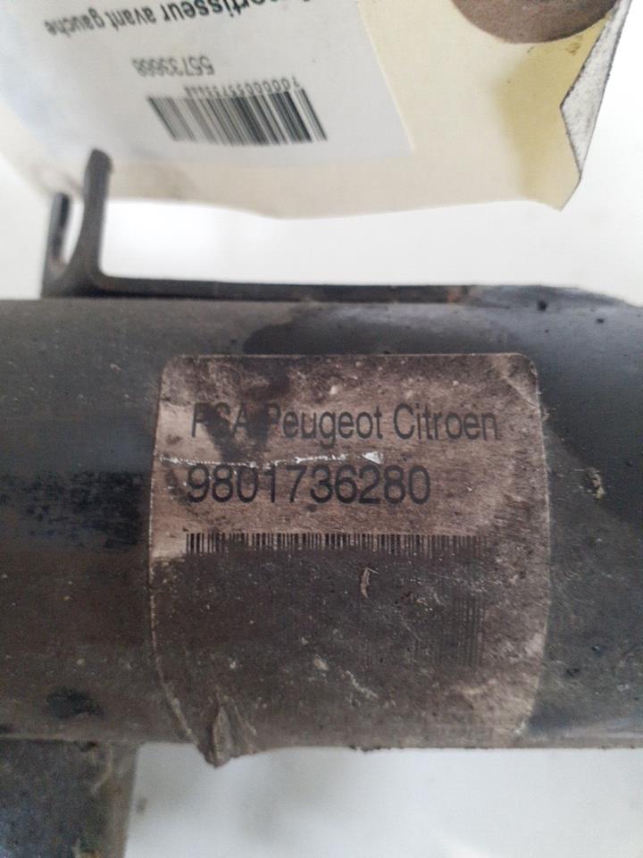 Ammortizzatore anteriore sinistro CITROEN C3 2 PHASE 2 Gasolina - 1
