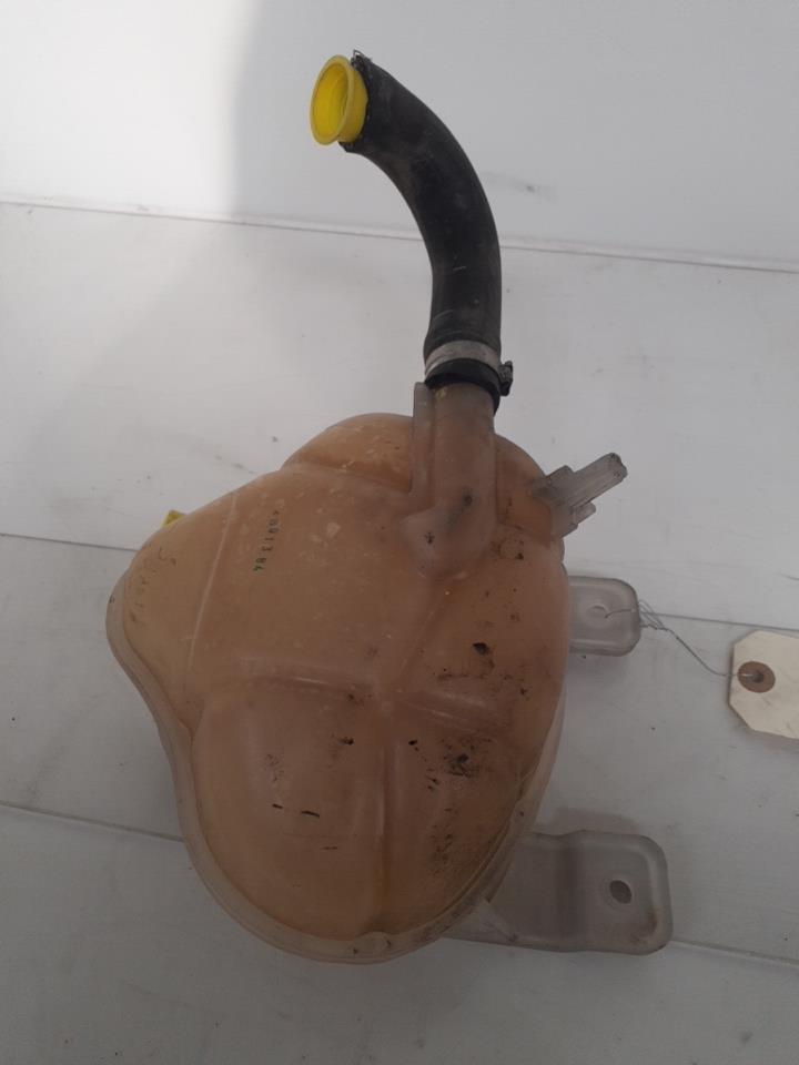 Vaso di espansione FIAT PUNTO EVO 3 Gasolina - 1