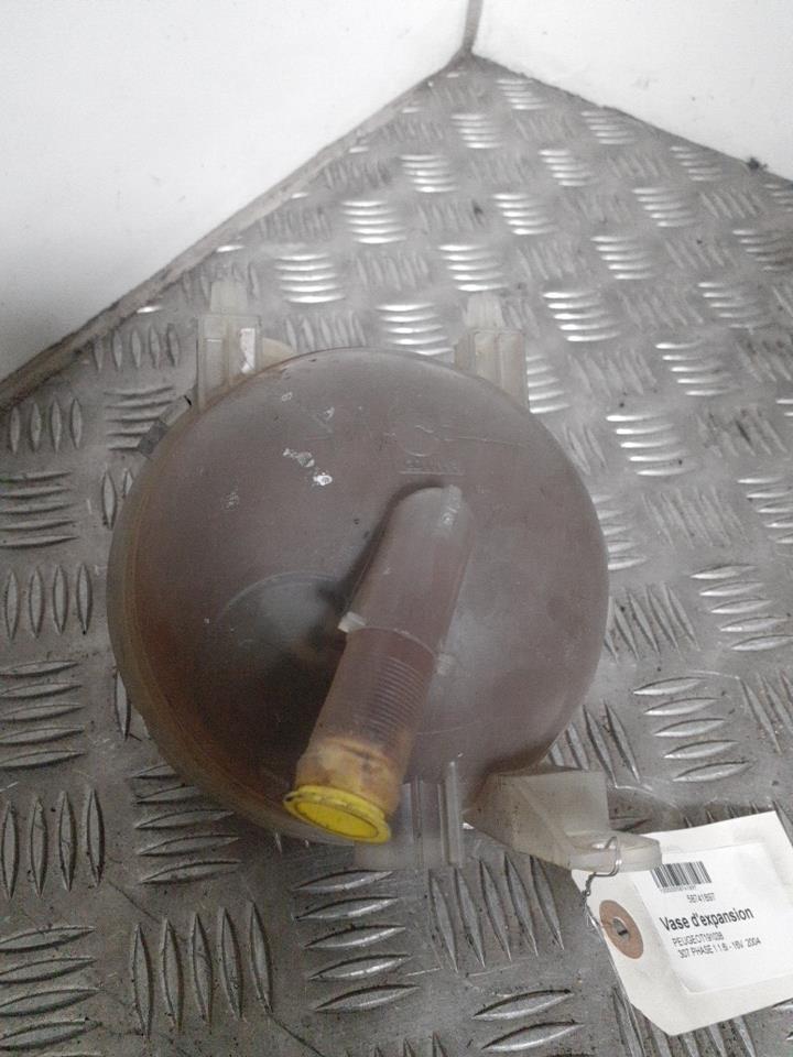 Vaso di espansione PEUGEOT 307 PHASE 1 Gasolina - 1
