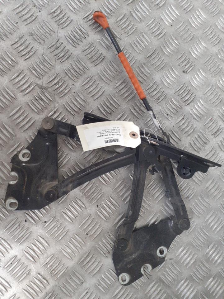 Charniere de capot VOLKSWAGEN GOLF PLUS PHASE 1 Diesel - 1