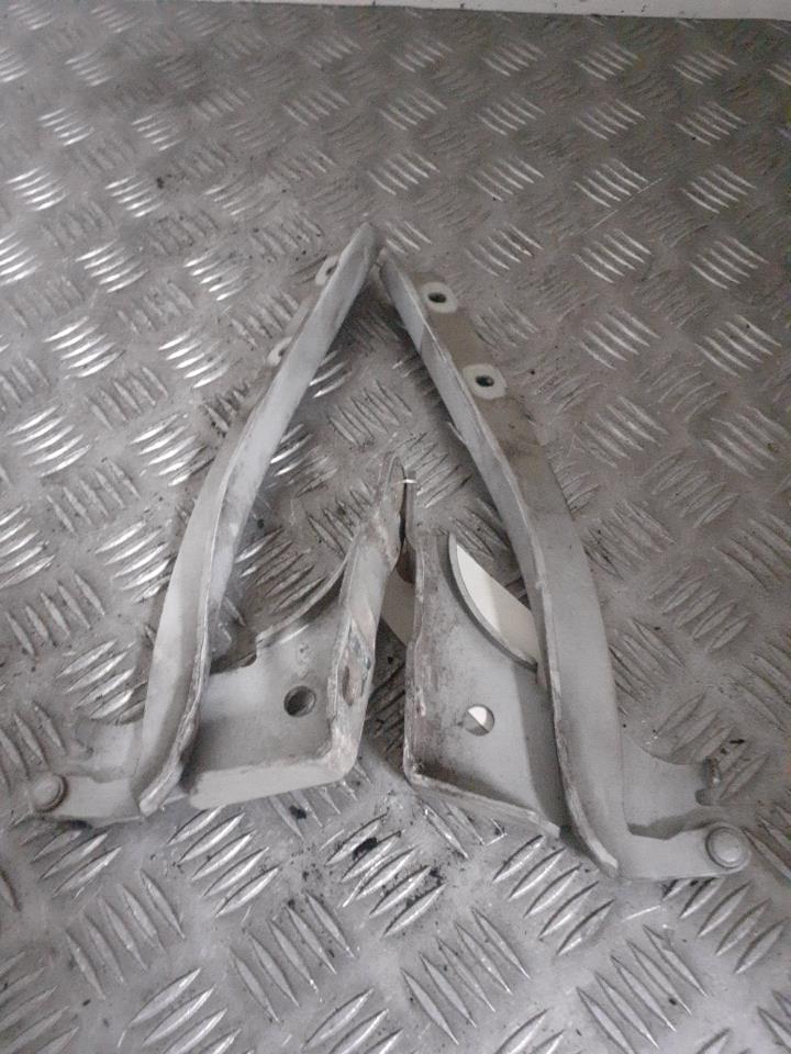 Cerniera cofano FIAT PUNTO EVO 3 Gasolina - 1