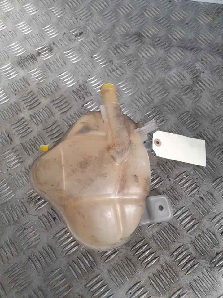Vaso di espansione FIAT PUNTO EVO 3 Gasolina - 1