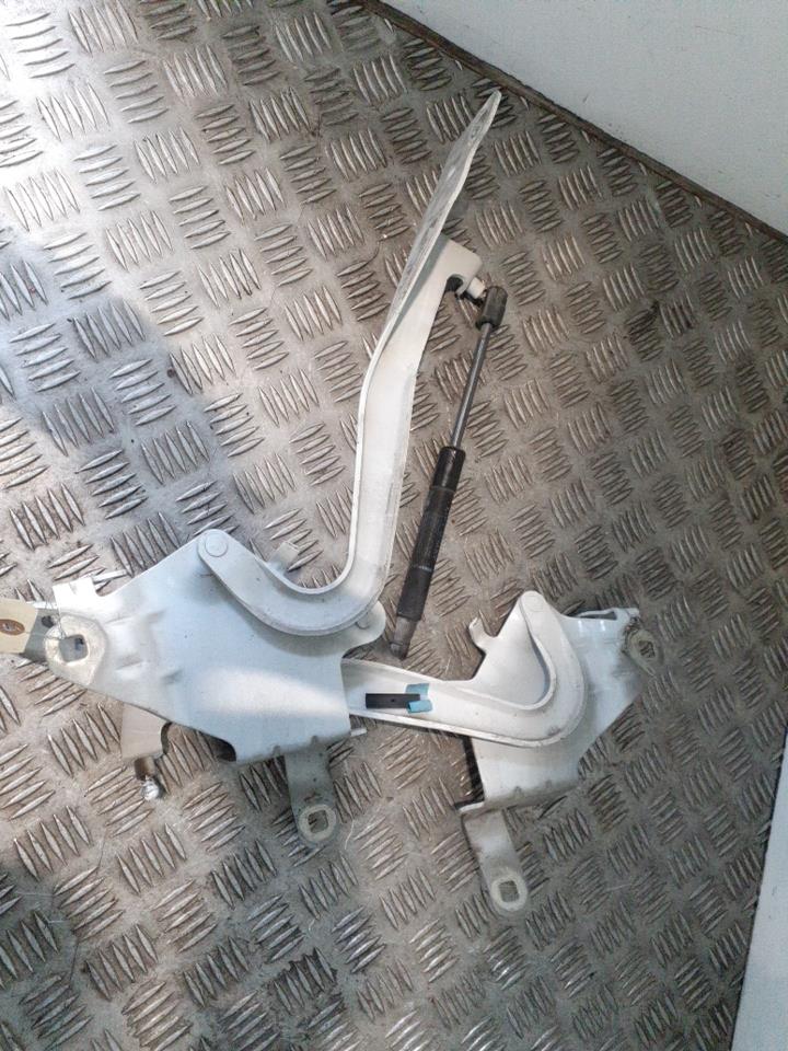 Charniere de capot RENAULT SCENIC 3 PHASE 2   Blanc Glacier (OV369) Diesel - 1