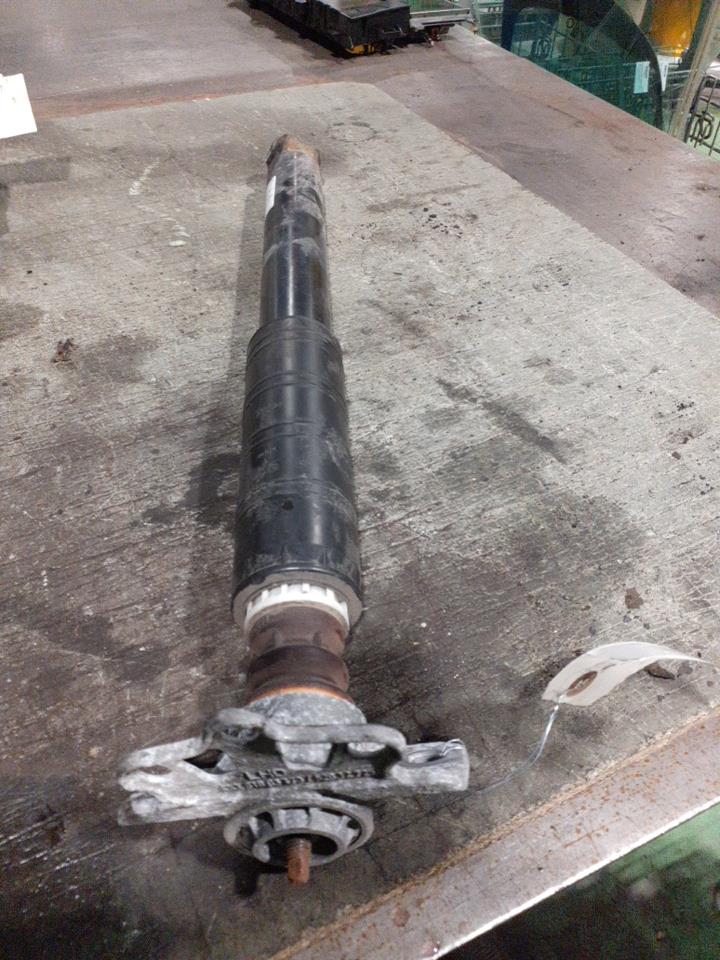 Ammortizzatore posteriore sinistro FIAT TIPO 2 PHASE 1 BREAK Gasolina - 1