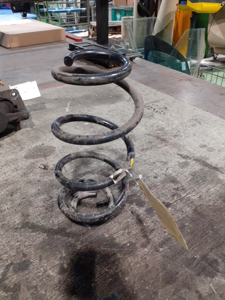 Molla sospensione posteriore destra FIAT TIPO 2 PHASE 1 BREAK Gasolina - 1