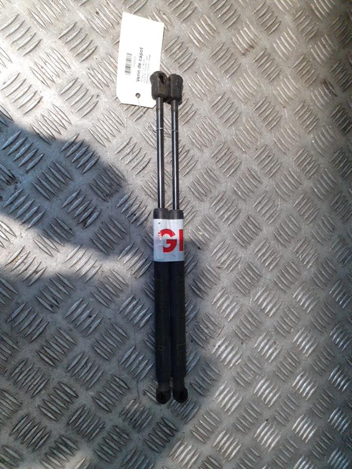 Verin de capot RENAULT KOLEOS 2 PHASE 1 Noir Métallique (TEGXA) Diesel - 1