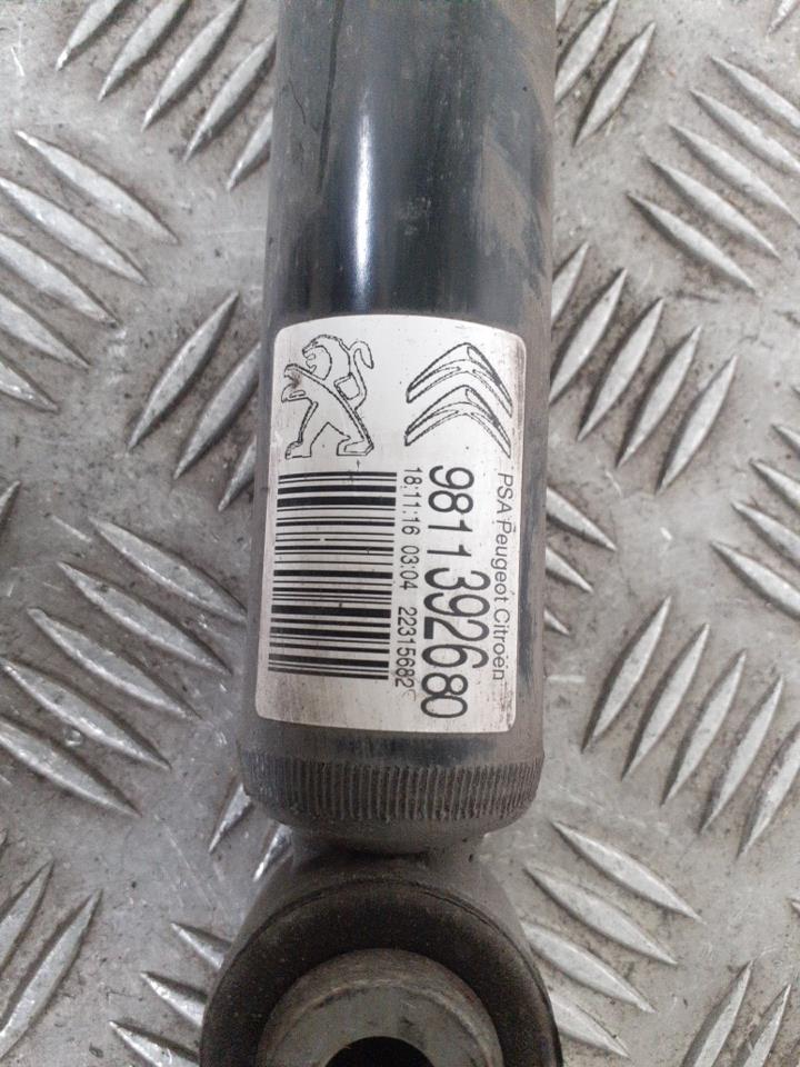 Ammortizzatore posteriore sinistro CITROEN C3 3 PHASE 1   Cobalt Blue (EJY) Gasolina - 1