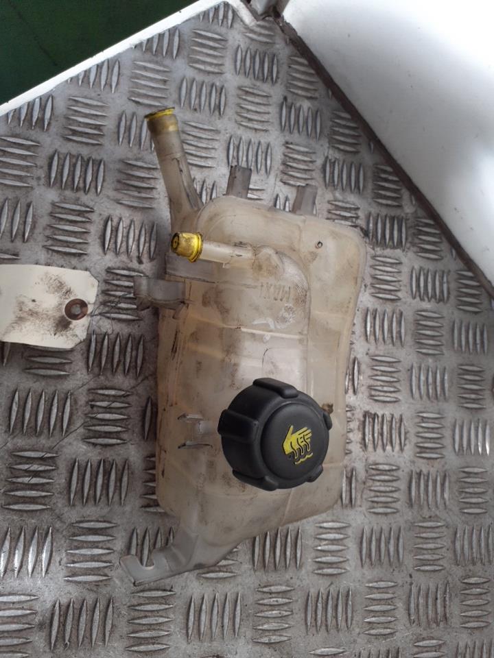 Vaso di espansione RENAULT SCENIC 3 PHASE 1 Gris Eclipse (TEB66) Diésel - 1