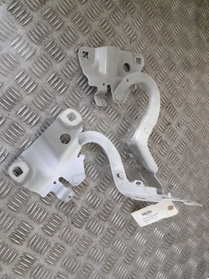 Charniere de capot RENAULT ZOE   Blanc Glacier (OV369)  - 1