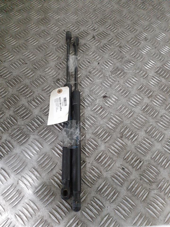 Verin de coffre RENAULT MEGANE 3 PHASE 3 Gris Titanium (TEKPN)  - 1