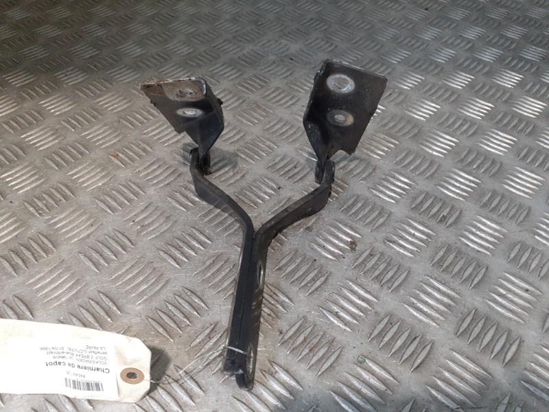 Cerniera cofano VOLKSWAGEN GOLF 3 BREAK Blue-anthrazit perleffekt (LC7V/F8) Diésel - 1