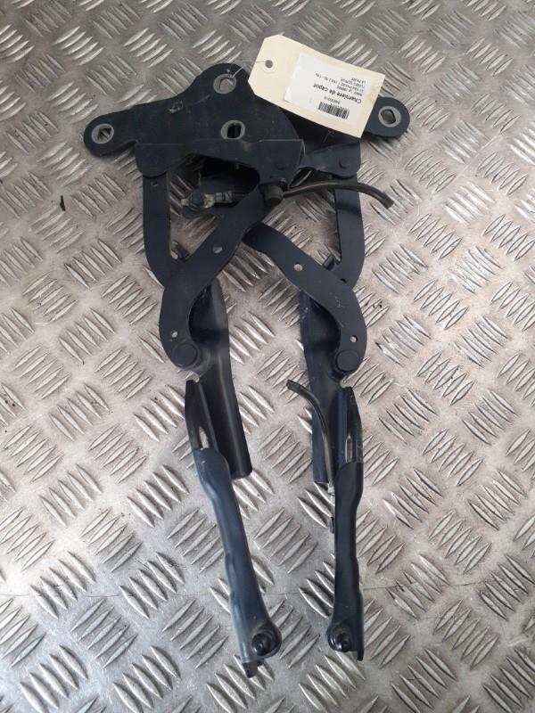 Charniere de capot BMW X1 E84 PHASE 1 Diesel - 1