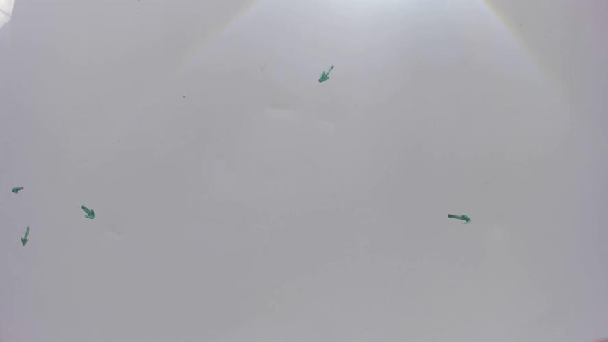 Photo de la pièce