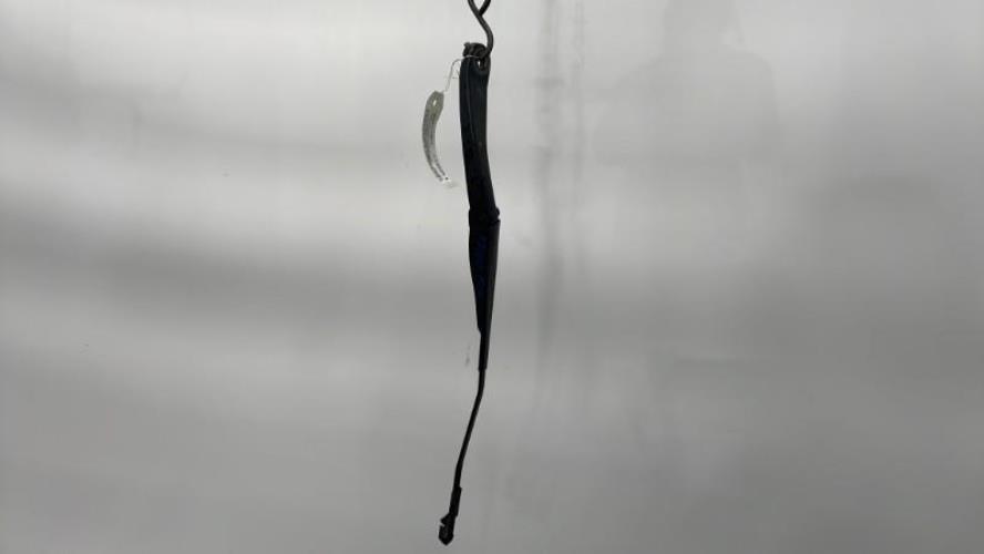 Photo de la pièce