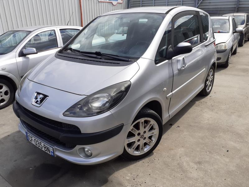 Portiera anteriore sinistra PEUGEOT 1007 Diésel - 1