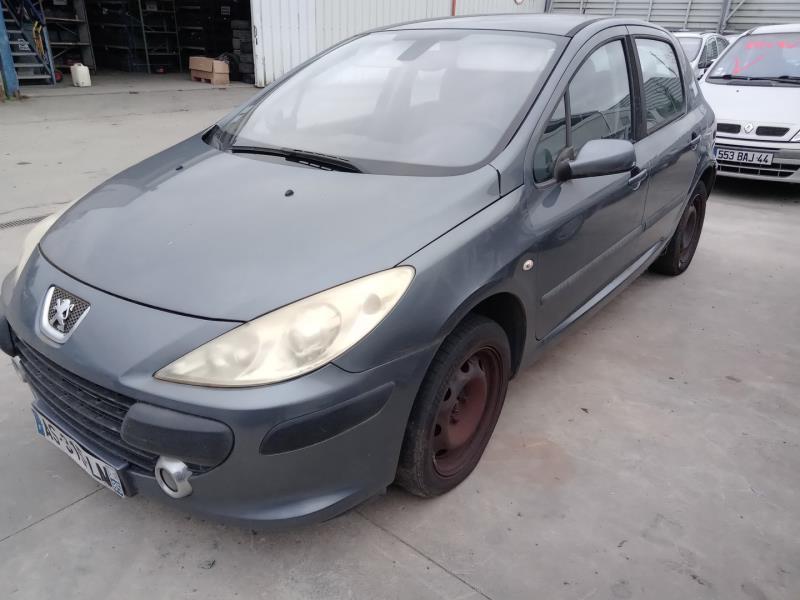 Portiera anteriore sinistra PEUGEOT 307 PHASE 2 Diésel - 1