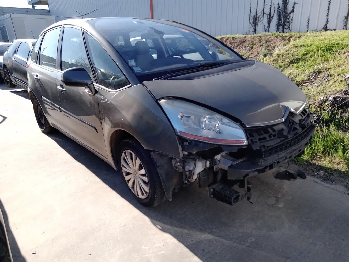 Portiera anteriore destra CITROEN C4 PICASSO 1 Diésel - 1
