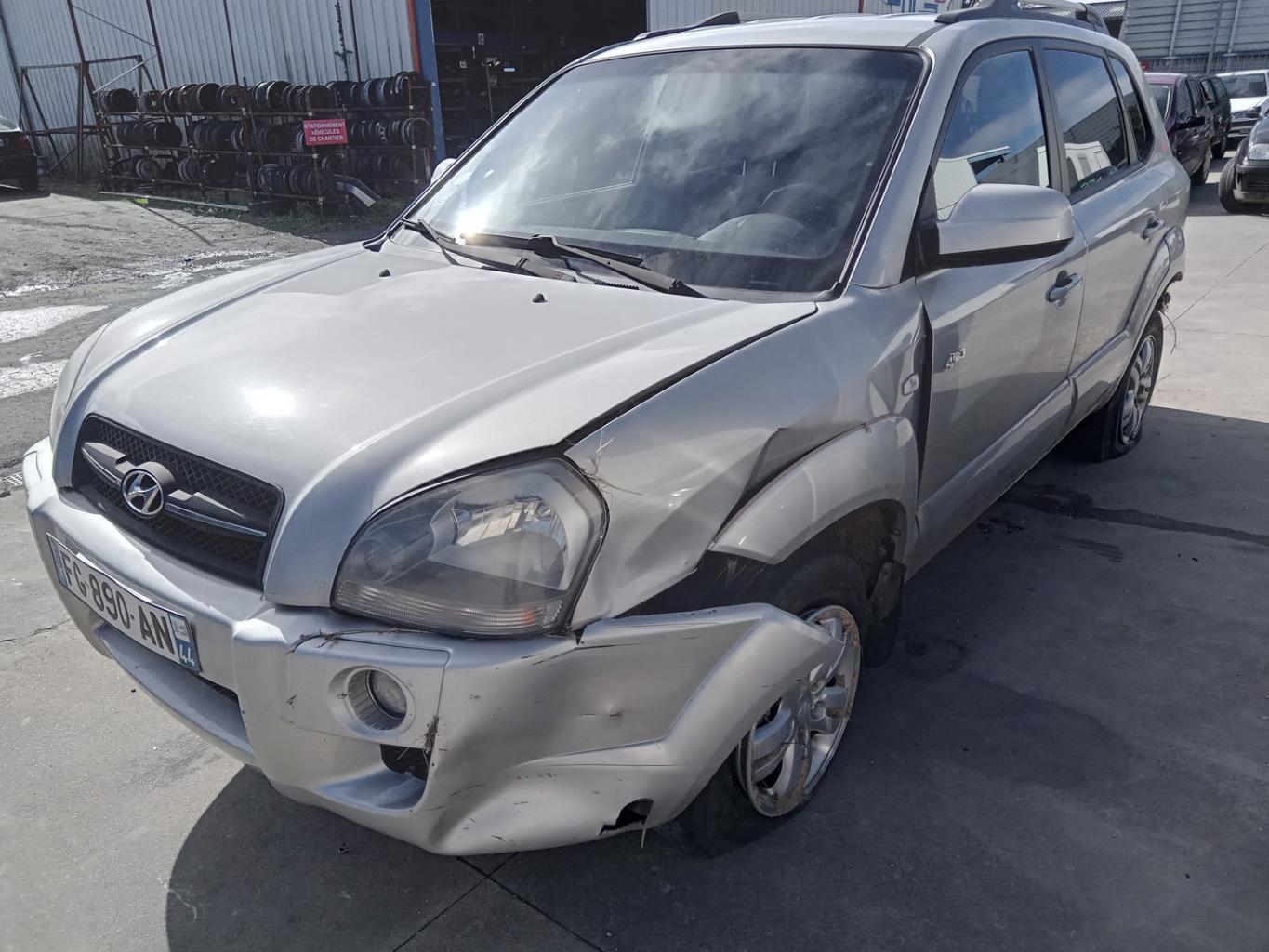 Portiera anteriore sinistra HYUNDAI TUCSON 1 Diésel - 1