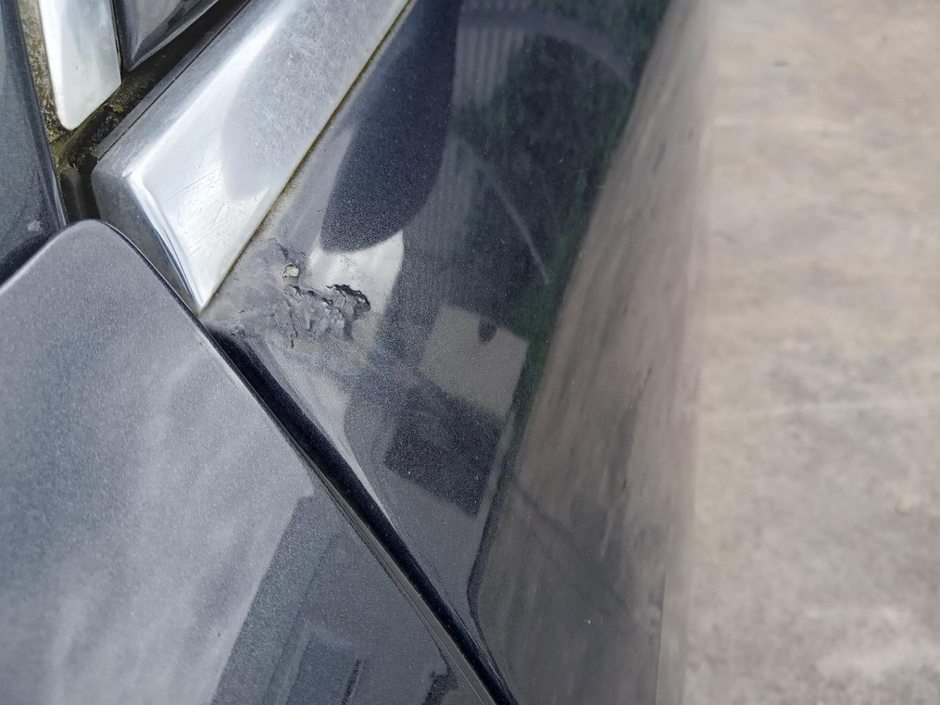 Portiera anteriore sinistra CITROEN C6 Diésel - 1