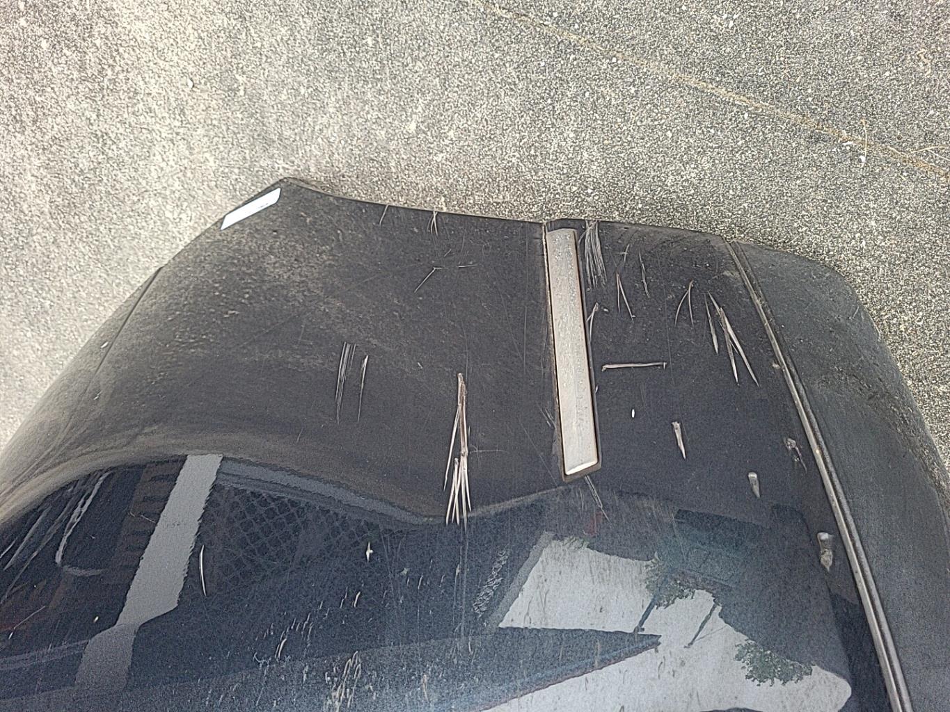 Paraurti posteriore CITROEN C6 Diésel - 1
