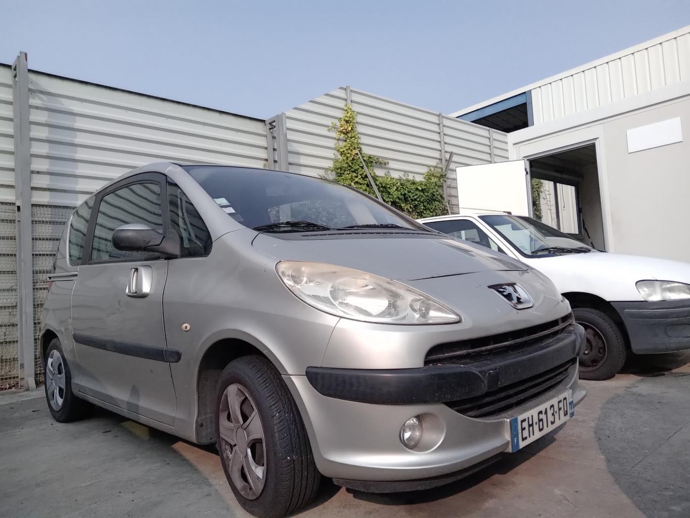 Calandre PEUGEOT 1007 Essence - 1