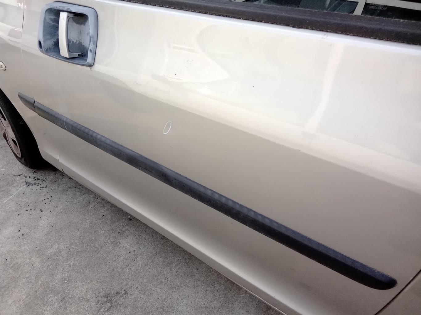 Portiera anteriore sinistra PEUGEOT 1007 Gasolina - 1