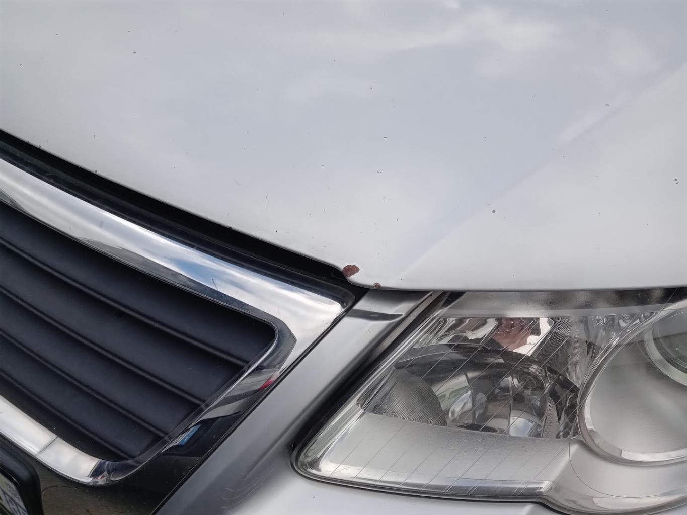 Capot VOLKSWAGEN PASSAT 5 Diesel - 1