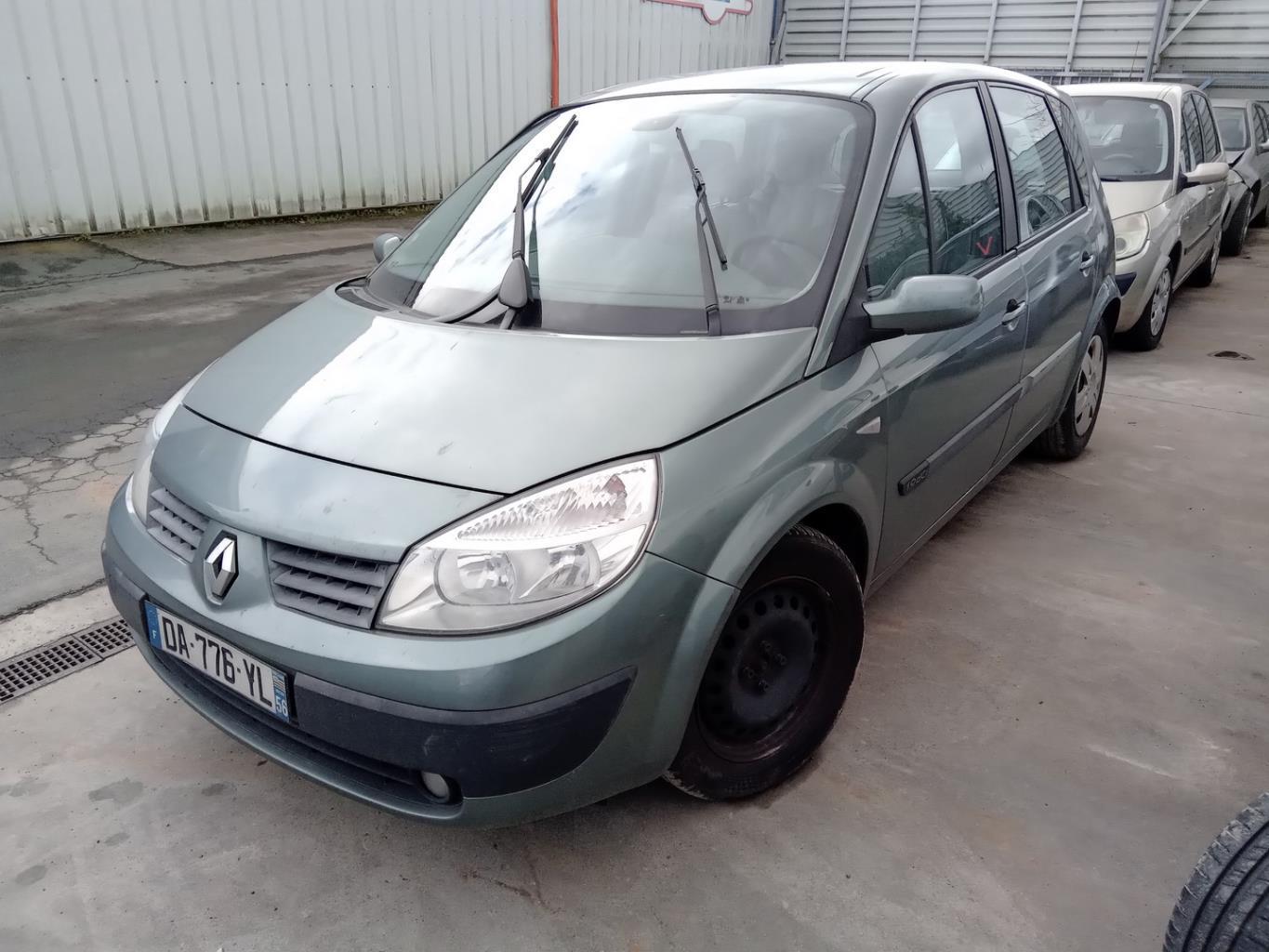 Portiera anteriore sinistra RENAULT SCENIC 2 PHASE 1 Diésel - 1