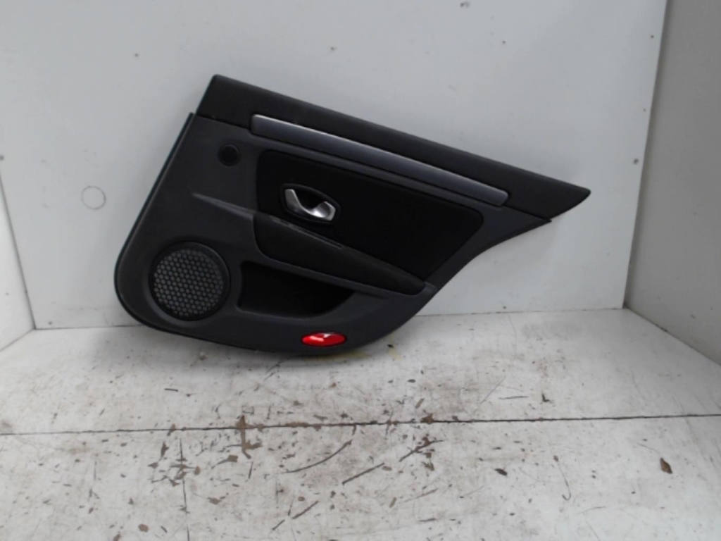 Guarnizione portiera posteriore destra RENAULT LAGUNA 3 PHASE 1 Diésel - 1