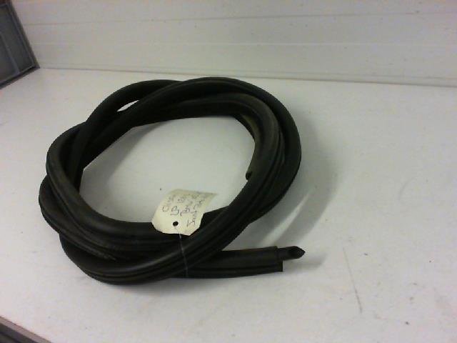 Guarnizione sportello anteriore destro BMW SERIE 3 E46 PHASE 1 Gasolina - 1