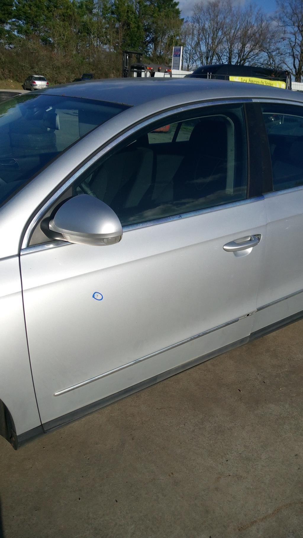 Portiera anteriore sinistra VOLKSWAGEN PASSAT 5 Diésel - 1