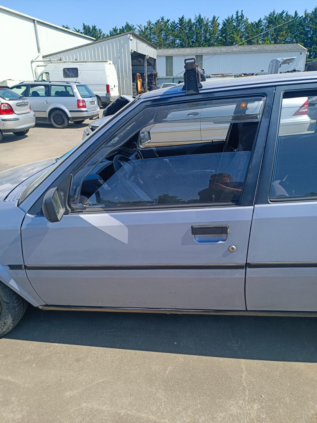 Portiera anteriore sinistra CITROEN BX Diésel - 1
