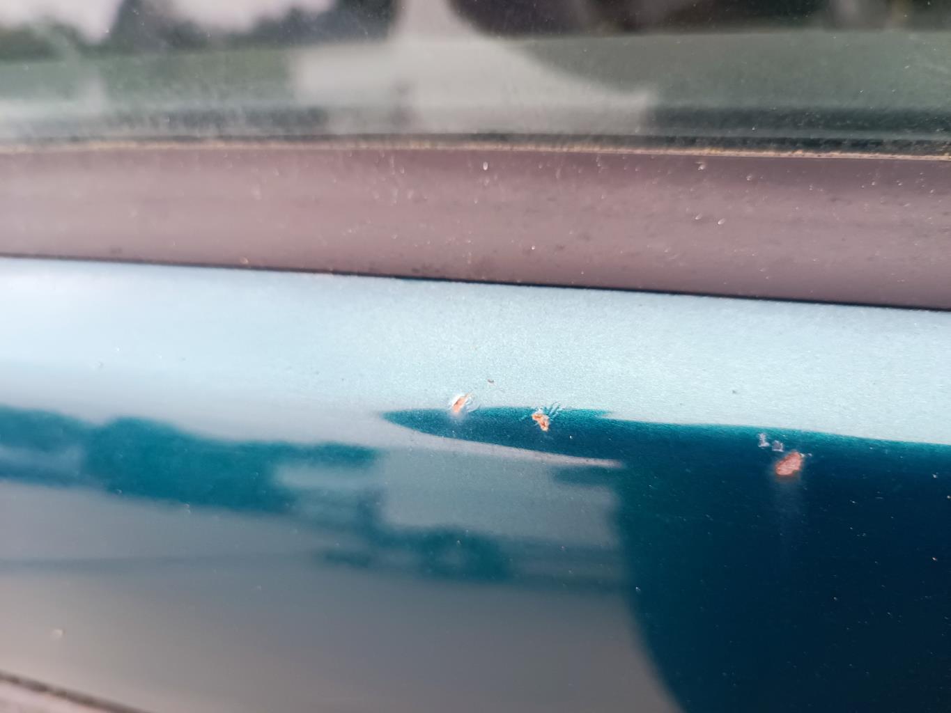 Portiera anteriore destra BMW SERIE 3 E36 Diésel - 1