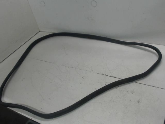Guarnizione sportello anteriore destro RENAULT ZOE 1 Electricidad - 1