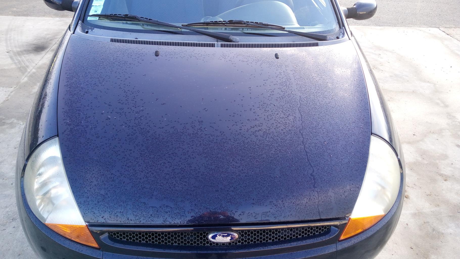 Capot FORD KA 1 PHASE 1 Essence - 1