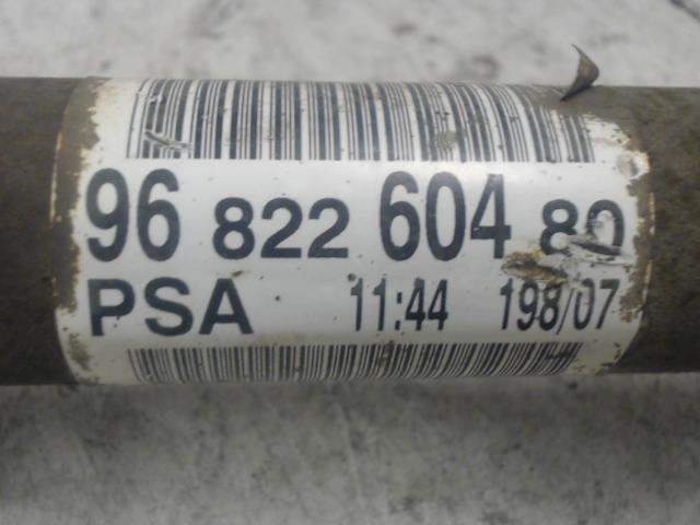 Giunto cardanico albero di trasmissione sinistro PEUGEOT 1007 Diésel - 1