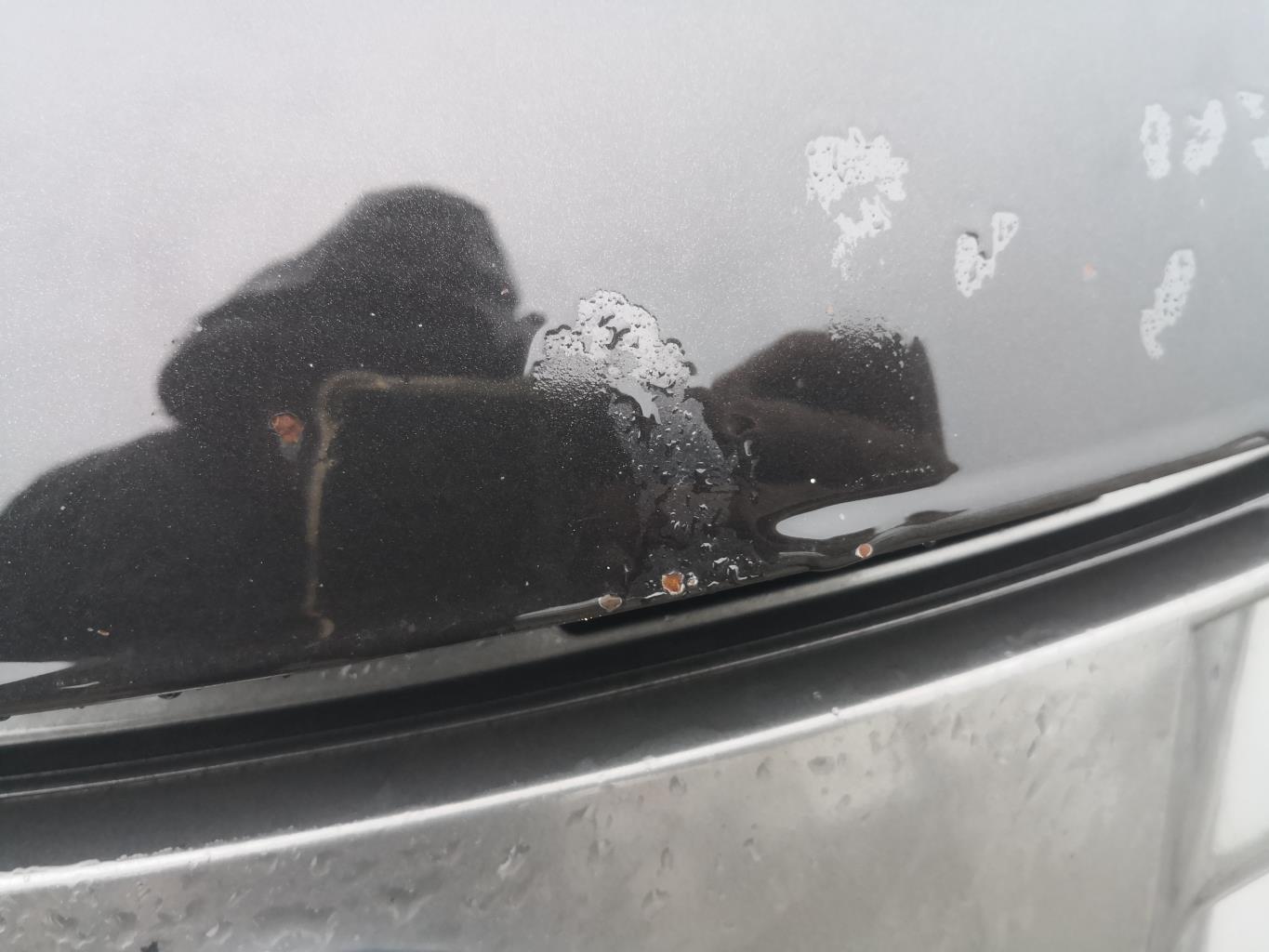 Capot NISSAN NOTE 1 PHASE 1 Diesel - 1