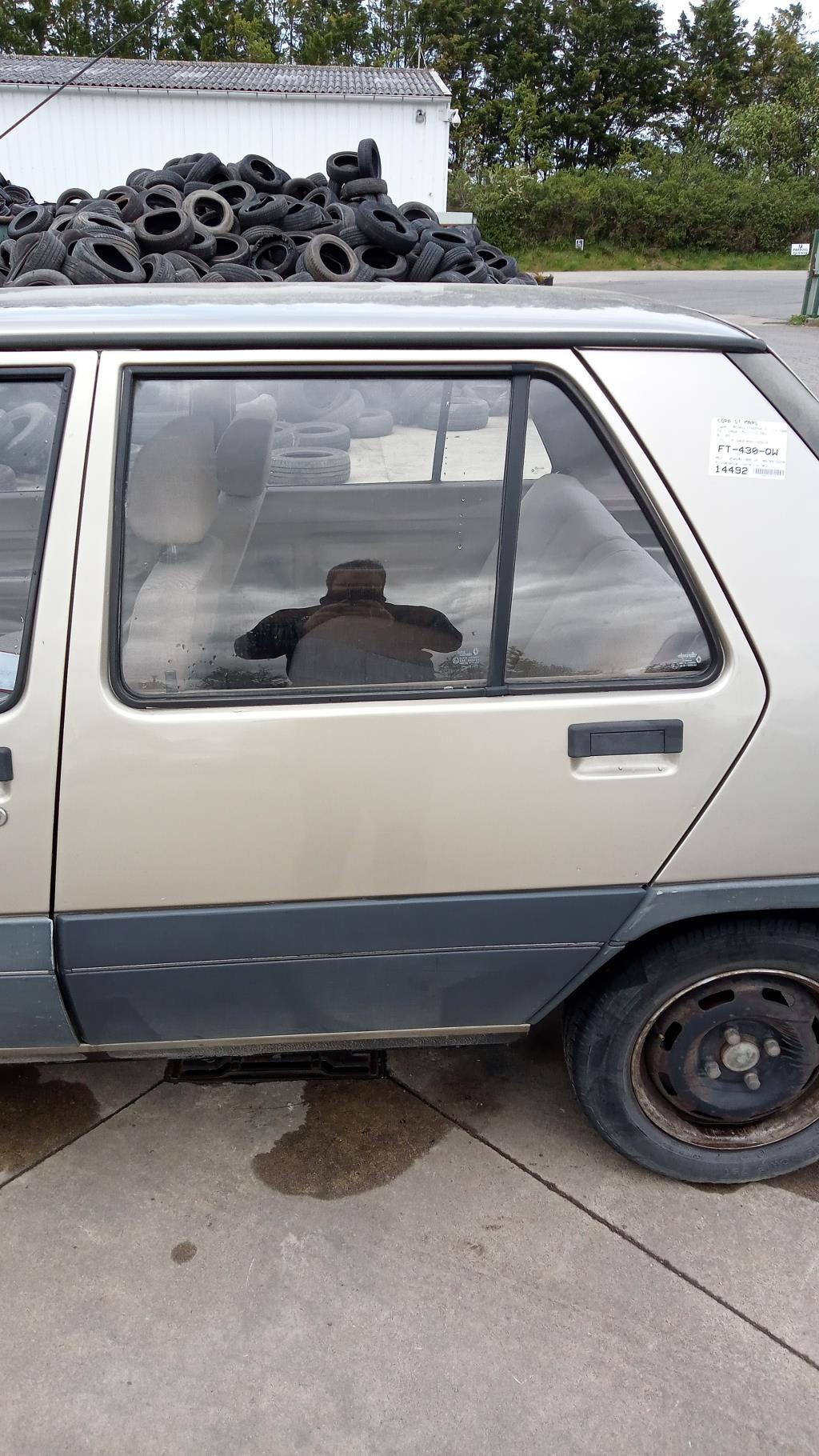 Portiera posteriore sinistra RENAULT SUPER 5 Gasolina - 1