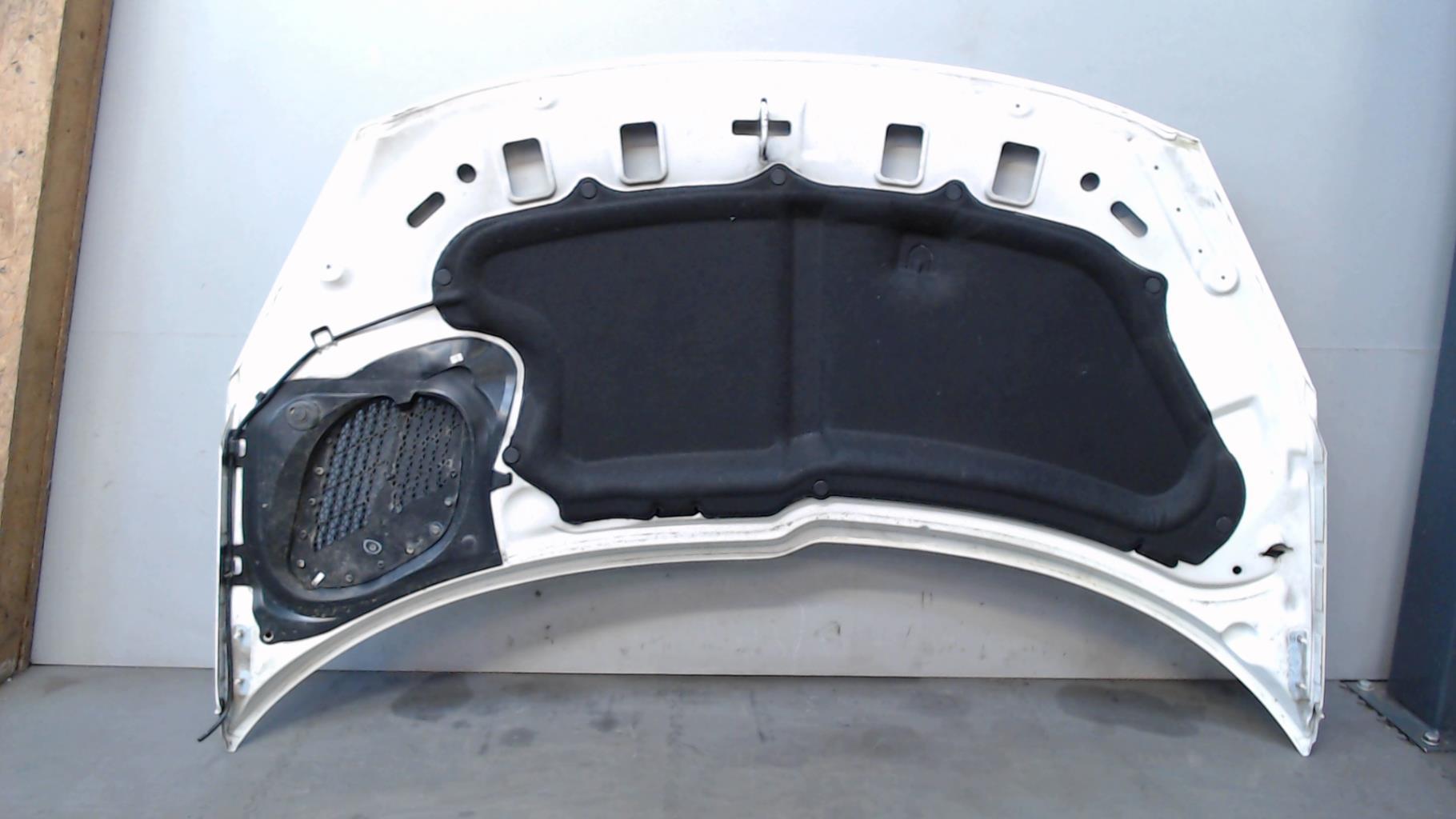 Capot PEUGEOT 206+ Diesel - 1